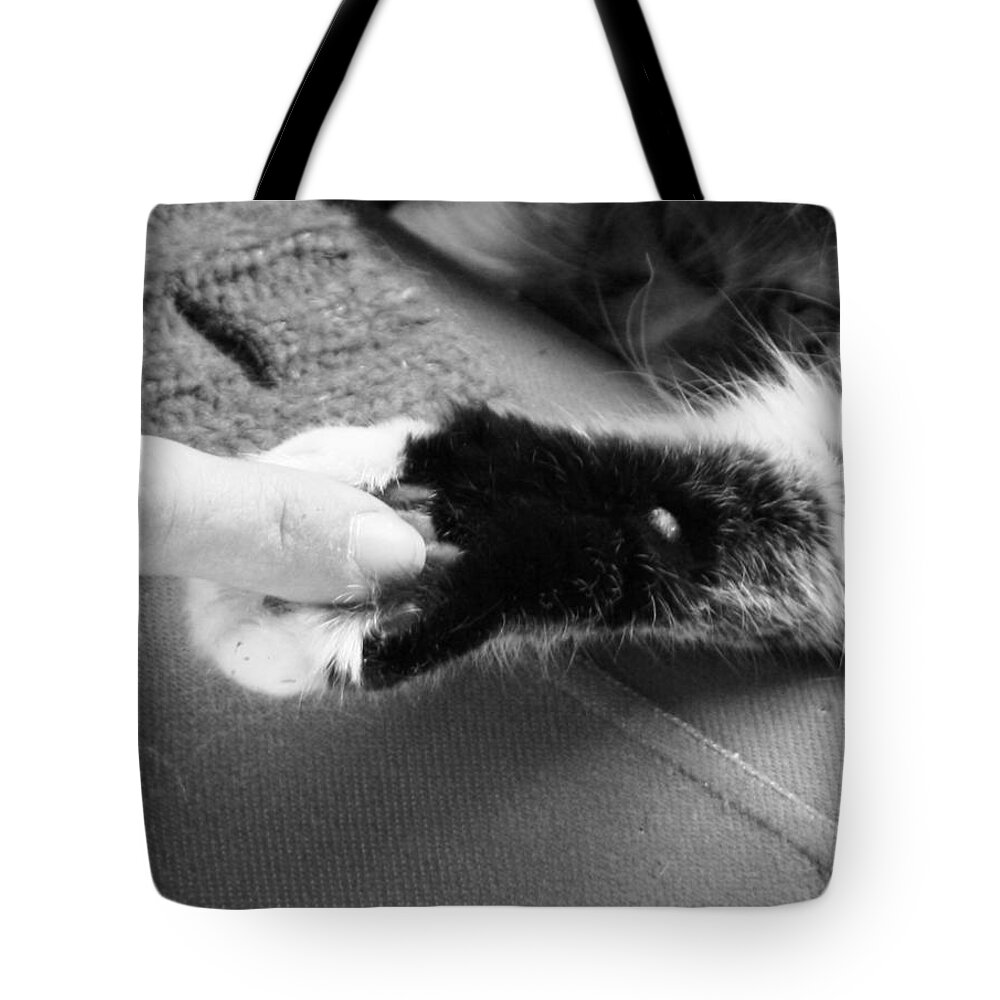 Cat Paws Tote Bag featuring the photograph No Mistake by Anita Dale Livaditis
