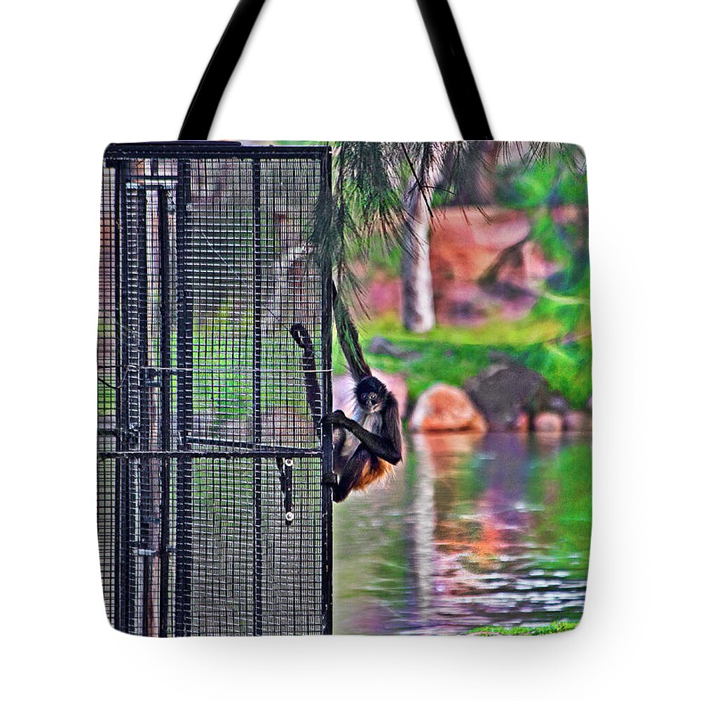 Black Handed Spider Monkey Tote Bag featuring the photograph No prison for me by Miroslava Jurcik