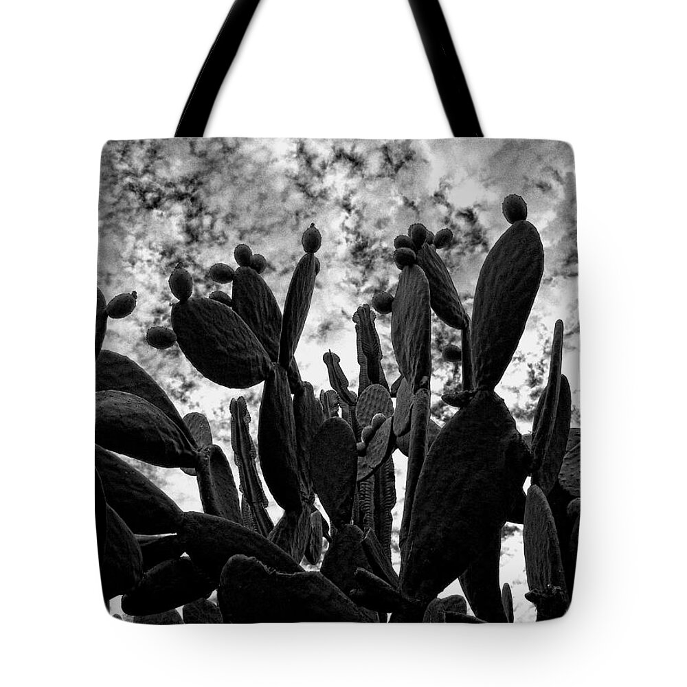 Black And White Tote Bag featuring the photograph Nopalera by Guillermo Rodriguez