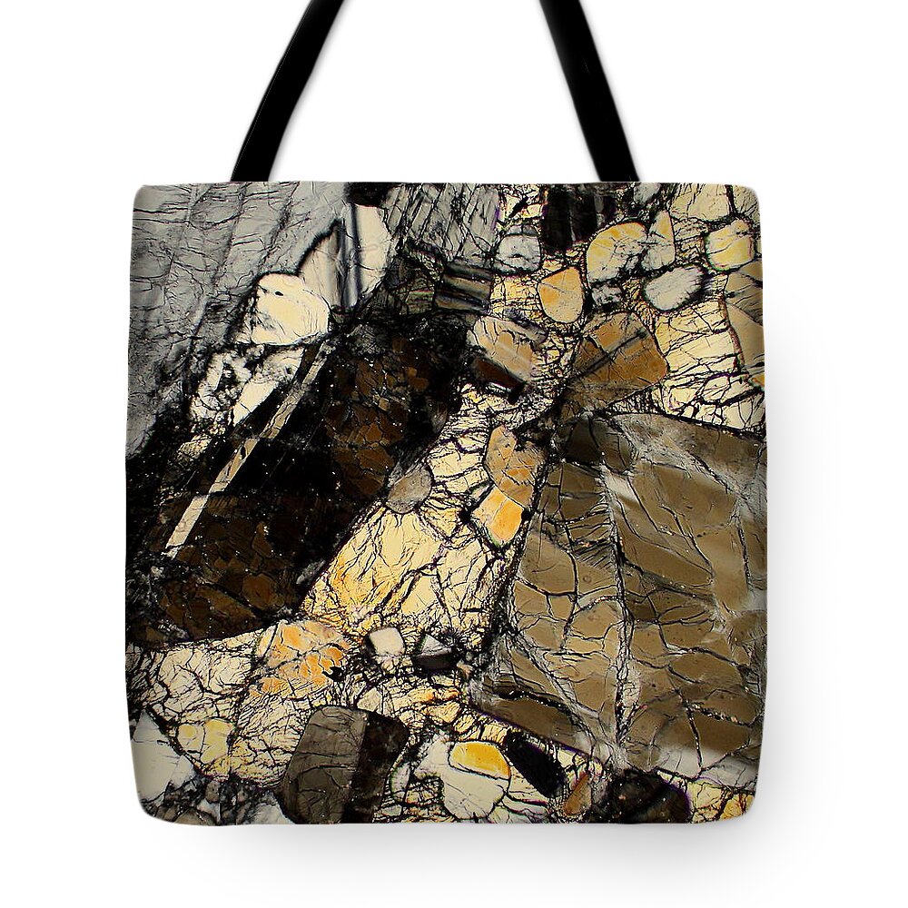 Meteorites Tote Bag featuring the photograph North West Africa 5000 by Hodges Jeffery