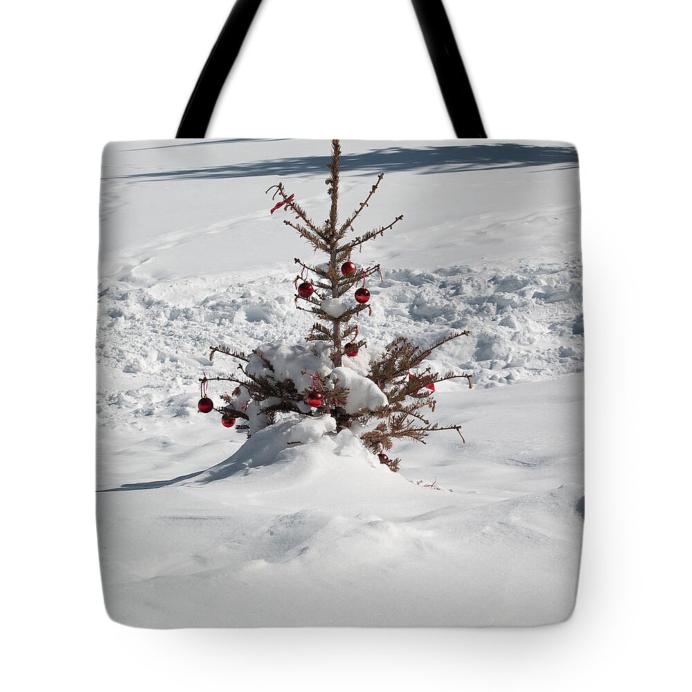 Christmas Tote Bag featuring the photograph Northern Arizona Christmas by Joshua House