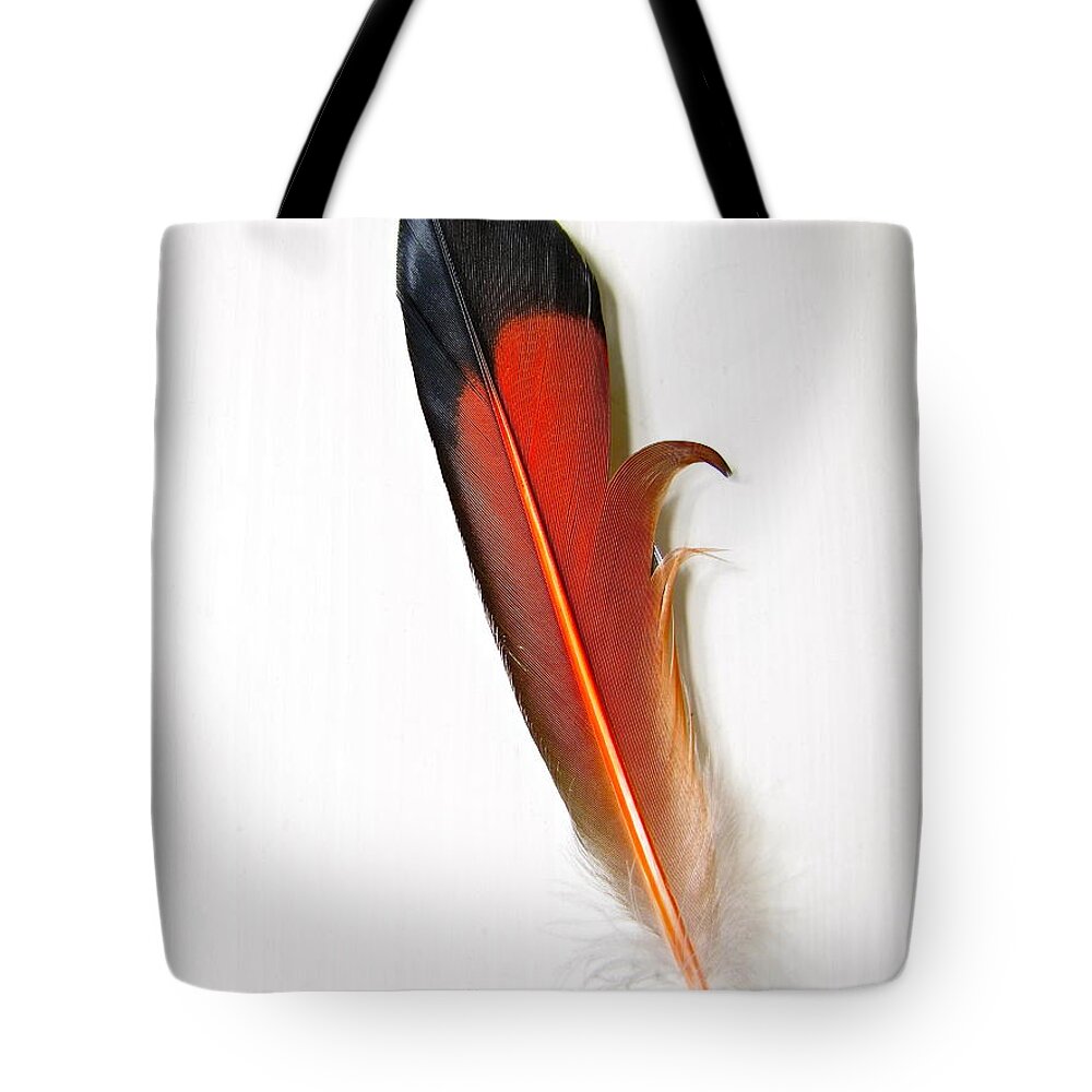 Photography Tote Bag featuring the photograph Northern Flicker Tail Feather by Sean Griffin