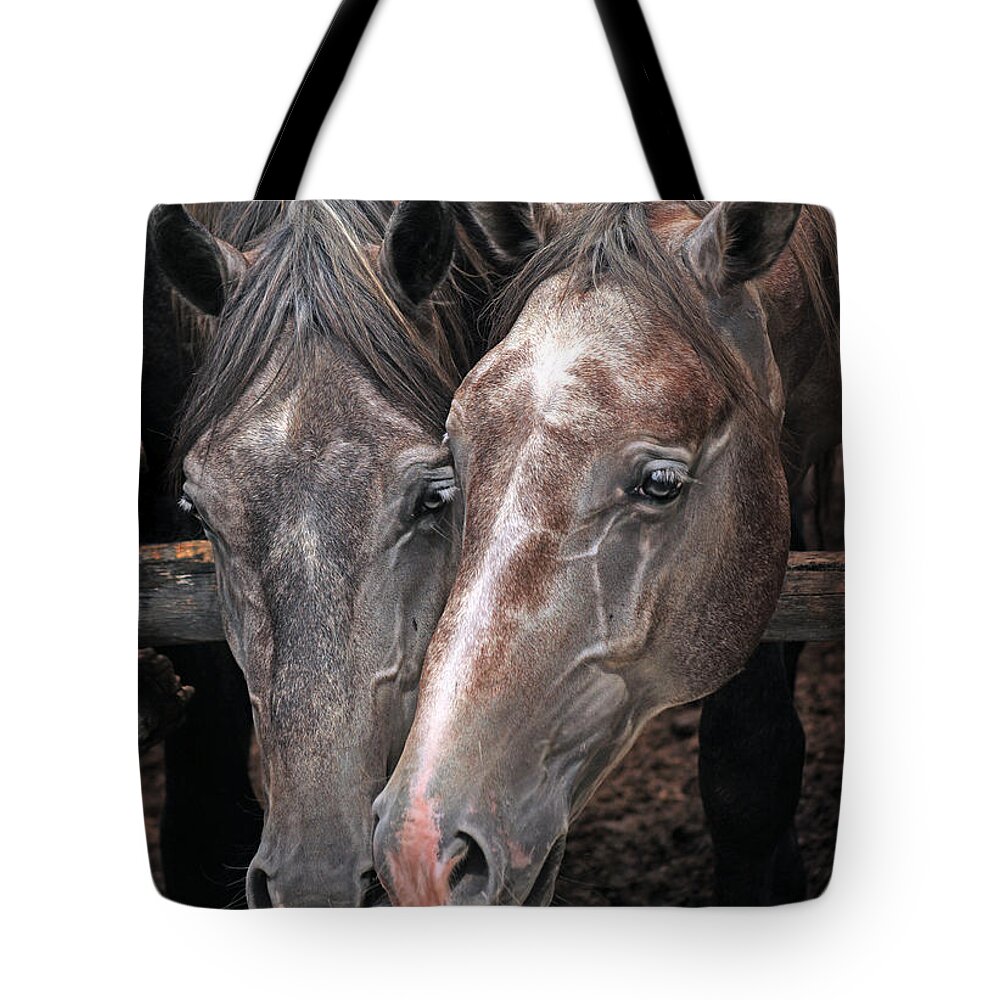 Horse Tote Bag featuring the photograph Nose To Nose by Ang El