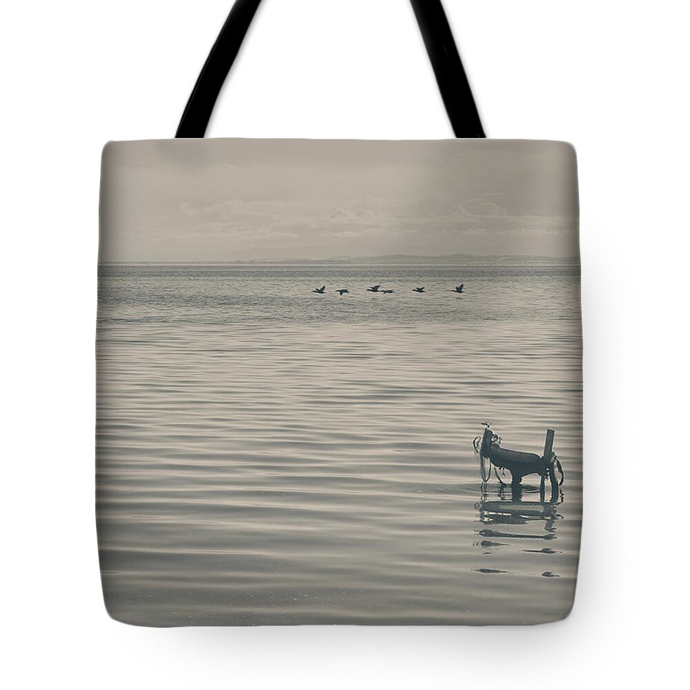 Salton Sea Tote Bag featuring the photograph Not All Endings Are Happy by Laurie Search