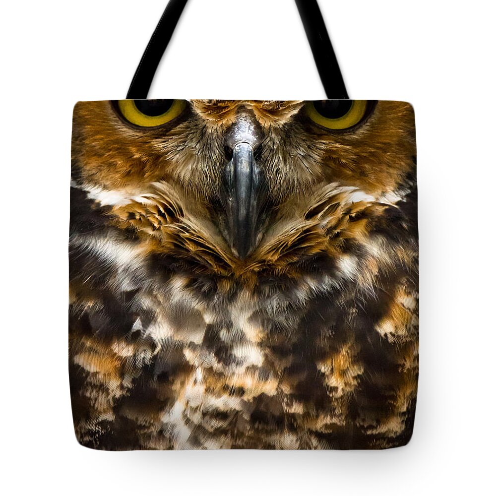 Owl Tote Bag featuring the photograph Not Mad At All by Robert L Jackson
