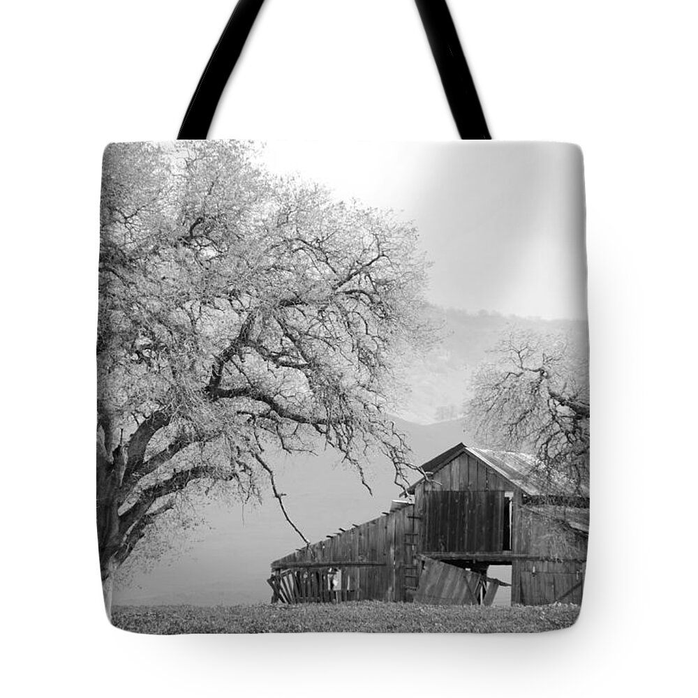 Barn Tote Bag featuring the photograph Not Much TIme Left BW by Debby Pueschel