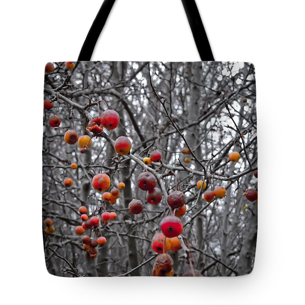 Art Tote Bag featuring the photograph Not so tempting cherries by Agata Wisniowska