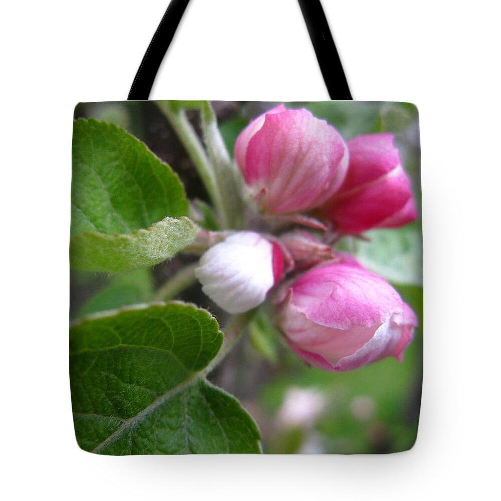 Bud Tote Bag featuring the photograph Not Yet by Rhonda Barrett
