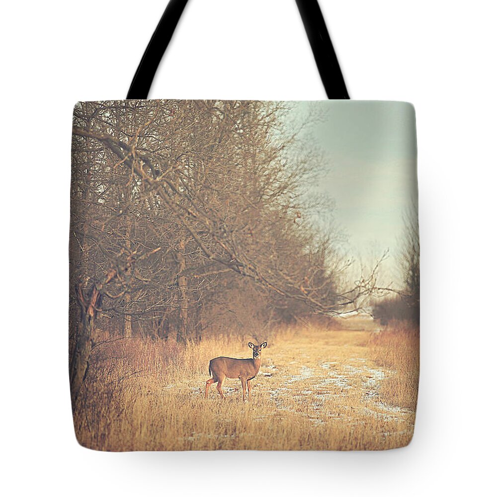 November Tote Bag featuring the photograph November Deer by Carrie Ann Grippo-Pike
