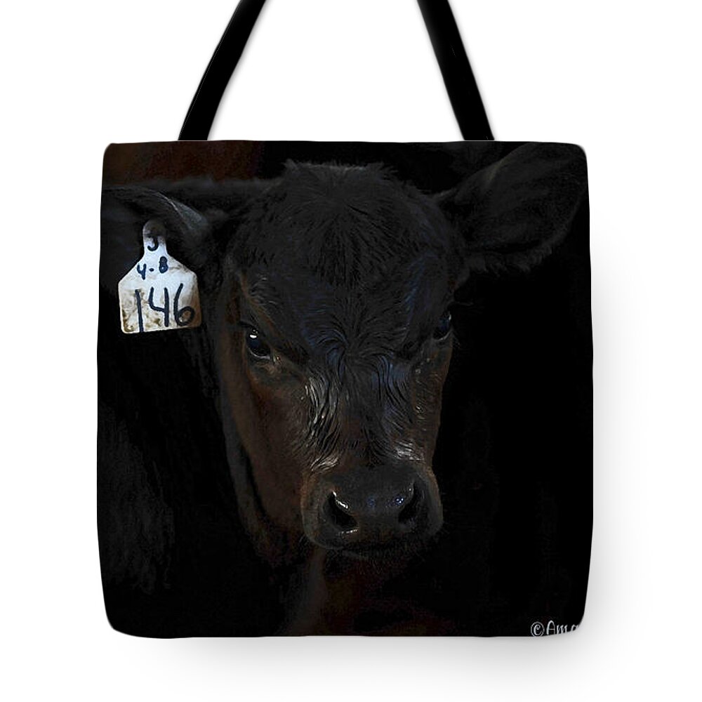 Calf Tote Bag featuring the photograph Number 146 by Amanda Smith
