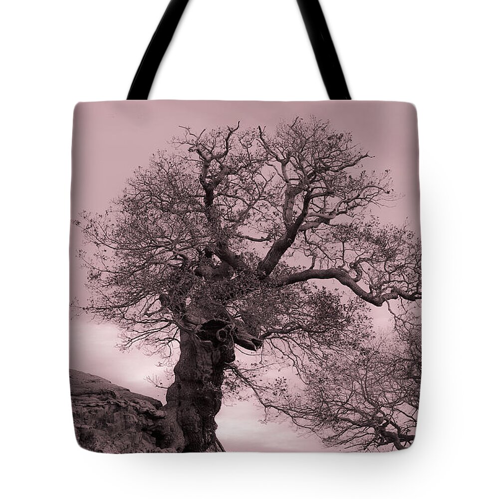Nature Tote Bag featuring the photograph Oak On A Slope by Linsey Williams