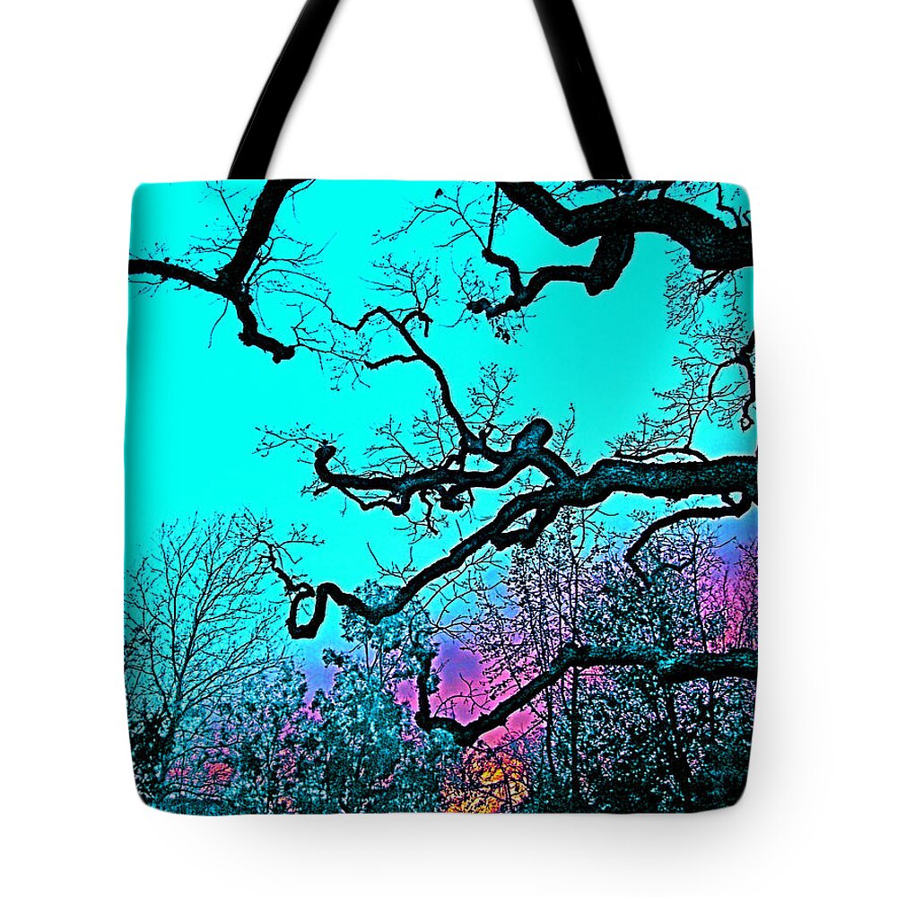 Tree Tote Bag featuring the photograph Oaks 4 by Pamela Cooper
