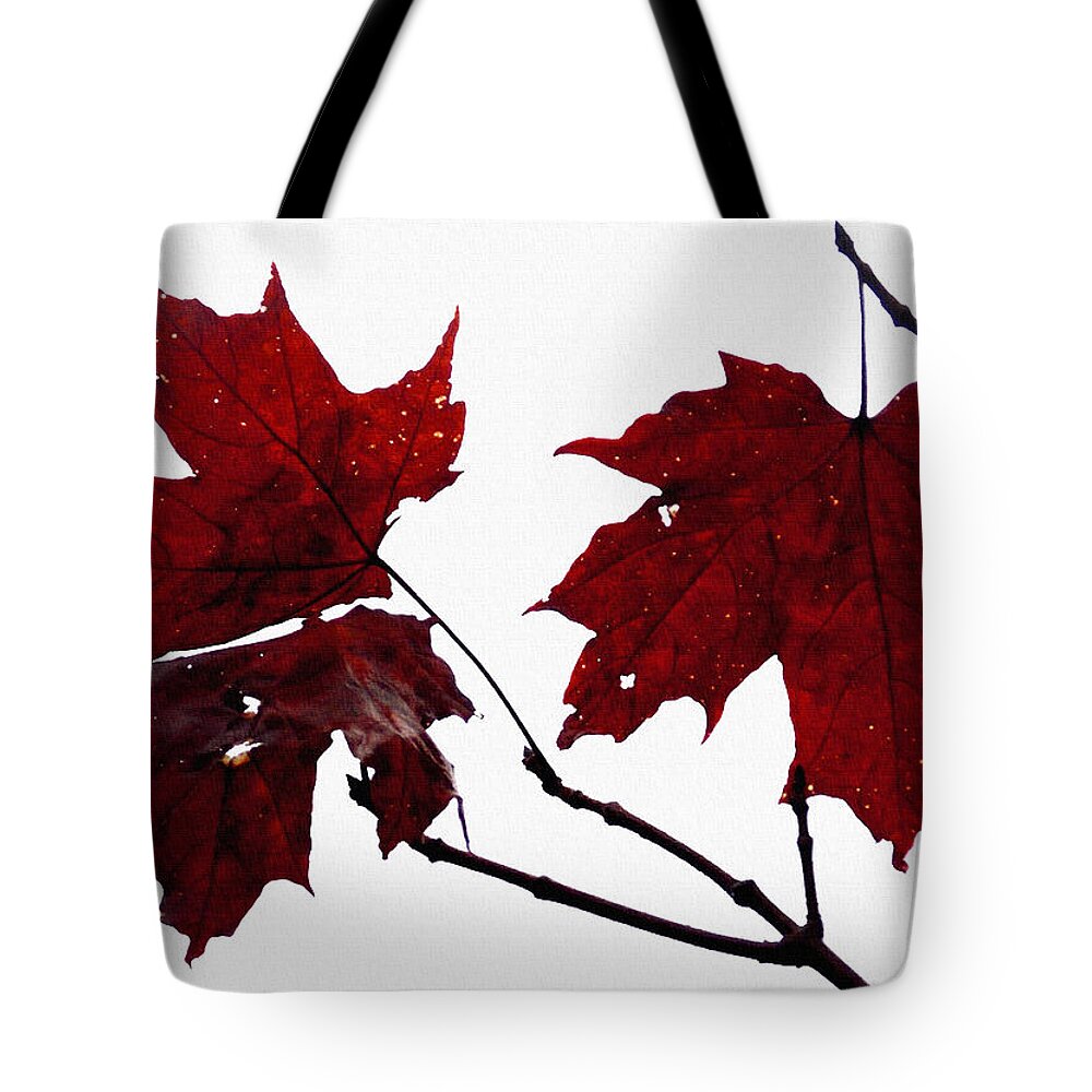 Leaf Tote Bag featuring the photograph October Grace by Shana Rowe Jackson