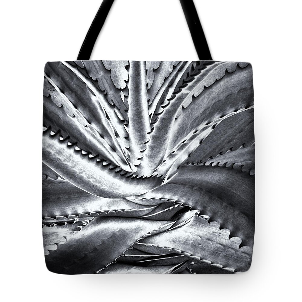 Octopus Tote Bag featuring the photograph Octopus BW by Rachel Cohen