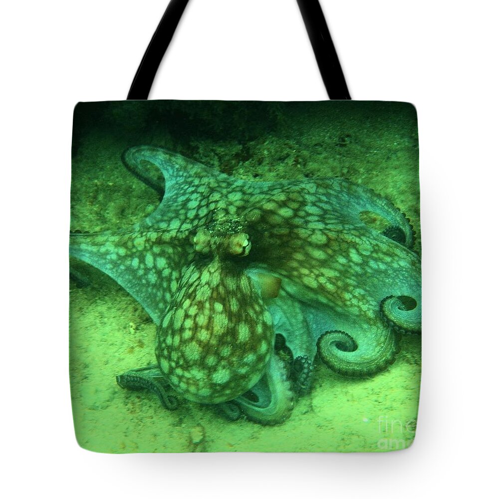 Common Octopus Tote Bag featuring the photograph Octopus In The Sand by Adam Jewell