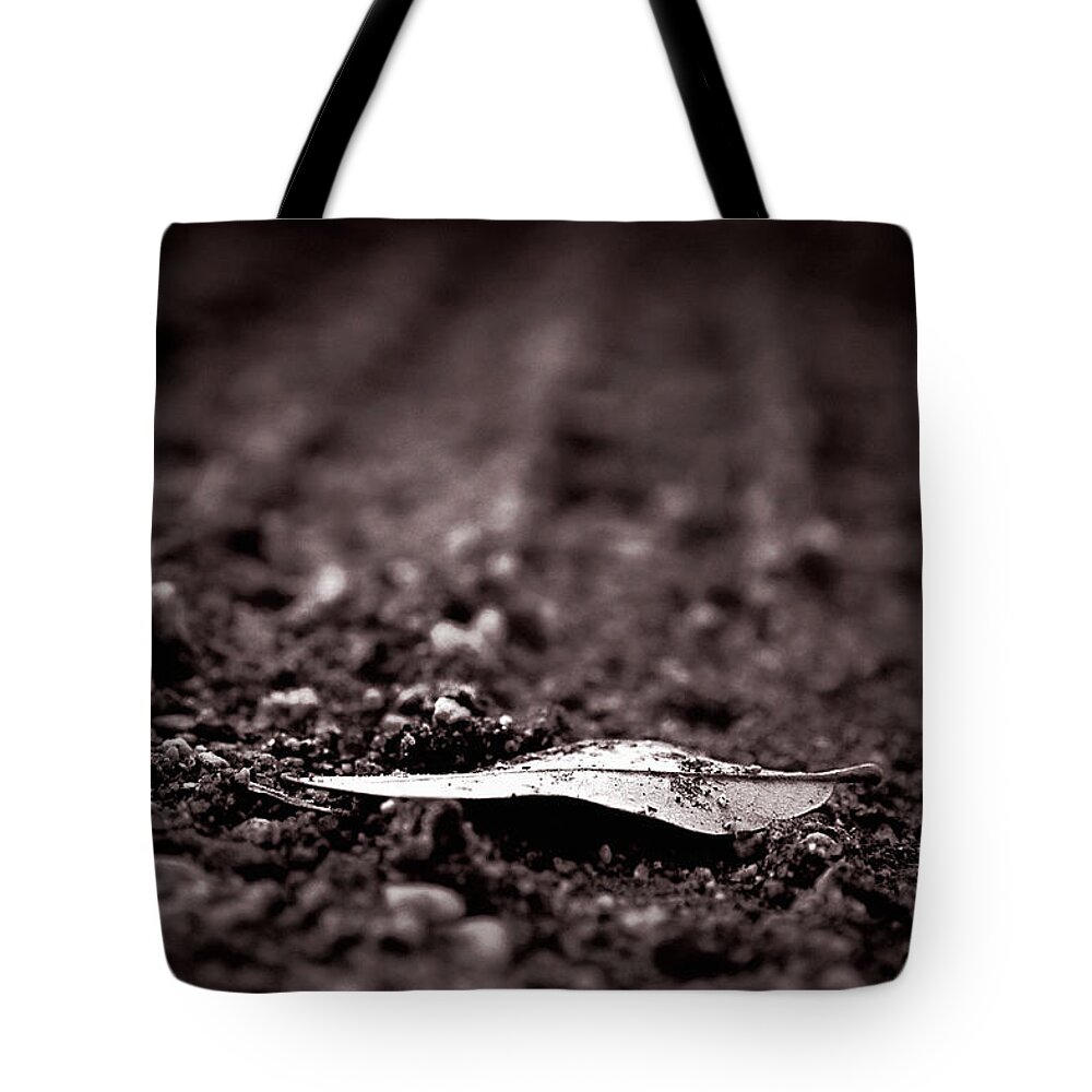 Leaf Tote Bag featuring the photograph Of Earth by Trish Mistric