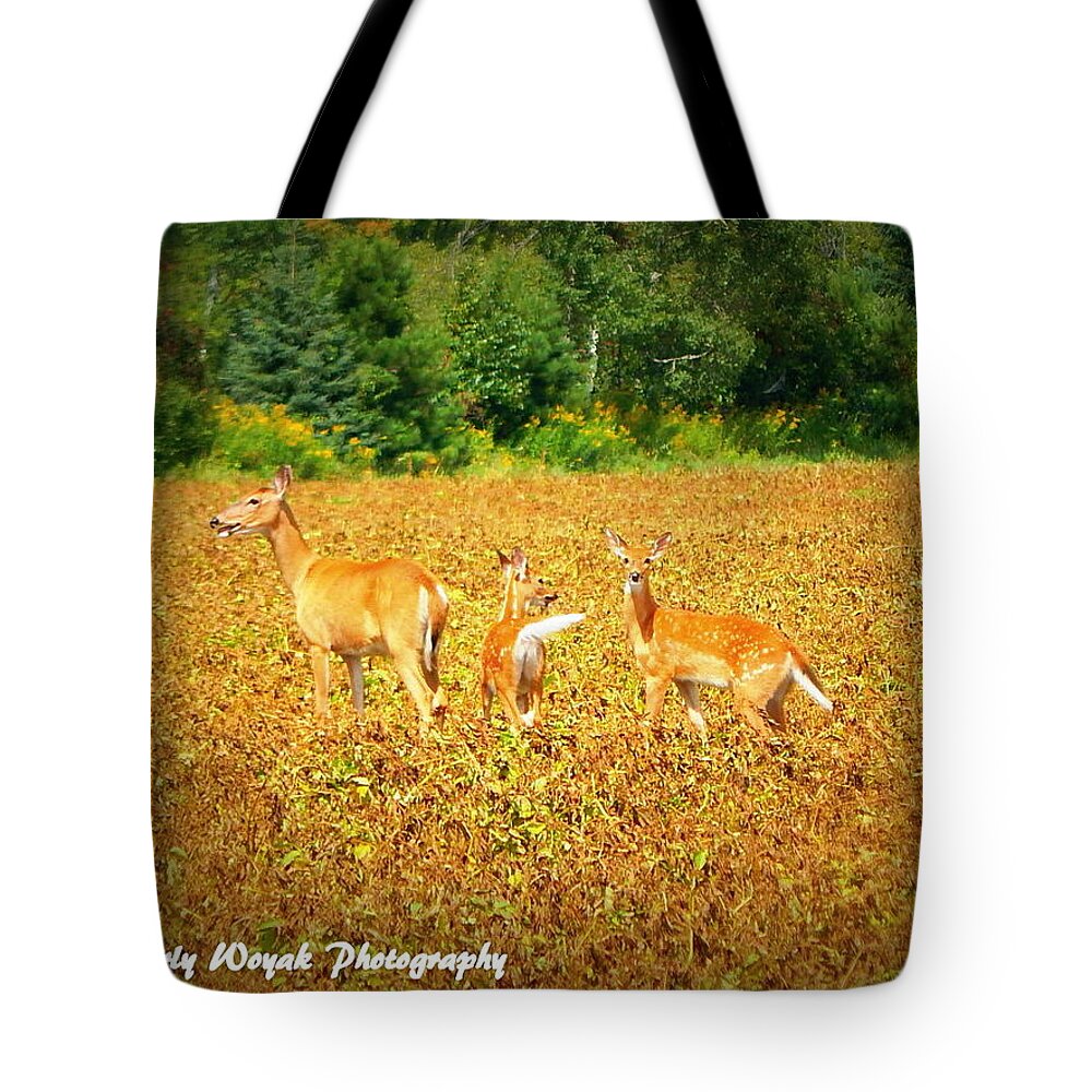 Deer Tote Bag featuring the photograph Oh Deer by Kimberly Woyak