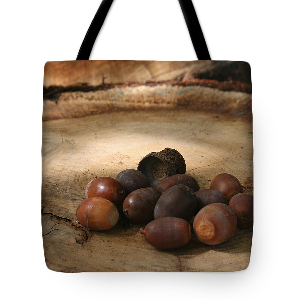 Acorn Tote Bag featuring the photograph Oh Nuts by Karen Harrison Brown
