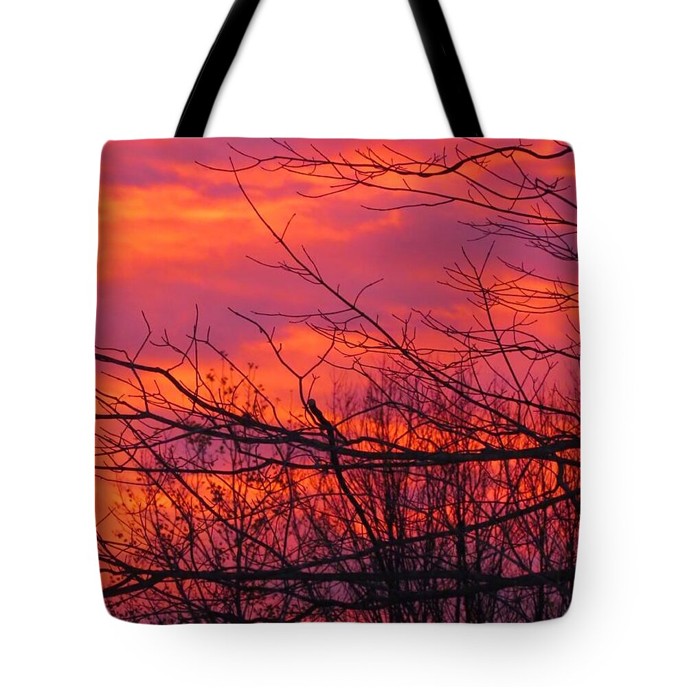 Sunrise Tote Bag featuring the photograph Oh What a Beautiful Morning by Elizabeth Dow