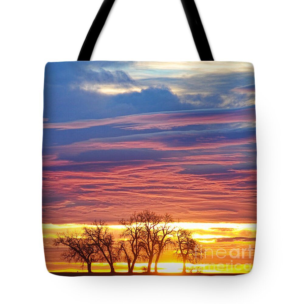 Beautiful Tote Bag featuring the photograph Oh What a Beautiful Morning by James BO Insogna
