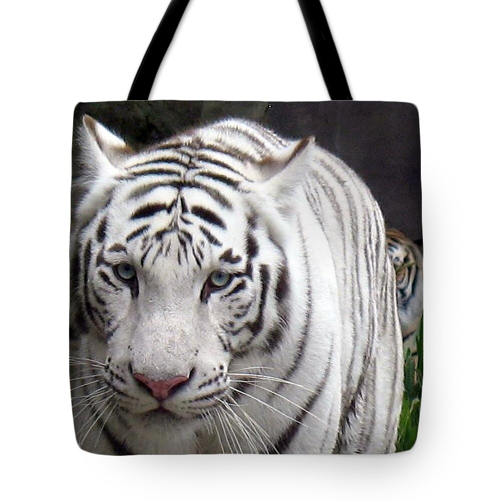 White Tote Bag featuring the photograph Ol' Blue Eyes by Wendy Gertz