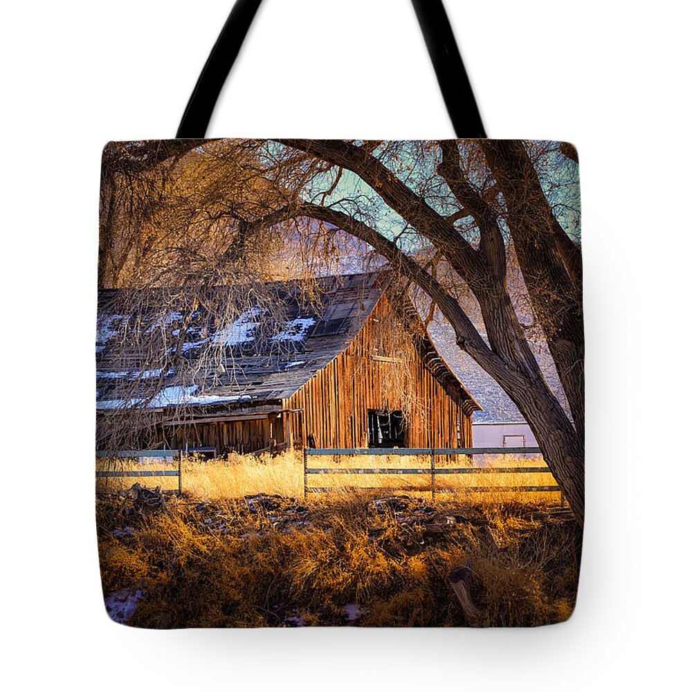 old Barn Tote Bag featuring the photograph Old Barn in Sparks by Janis Knight
