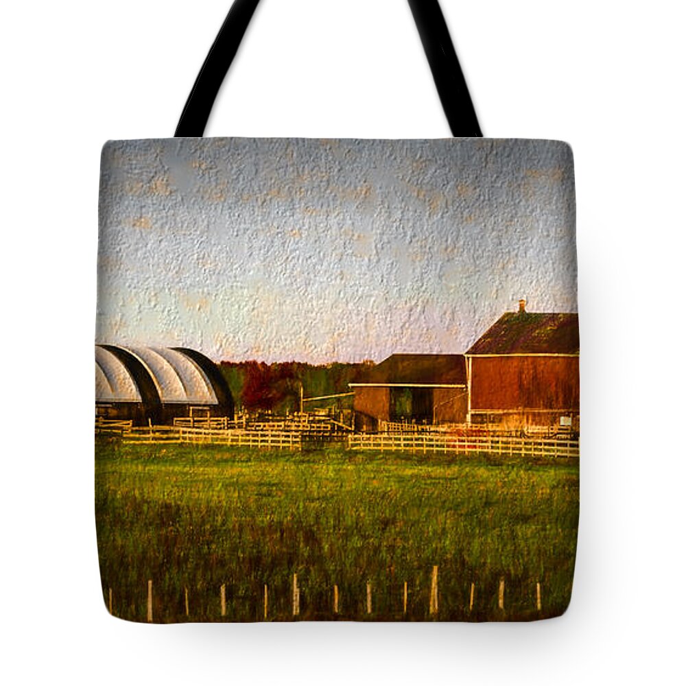 Old Tote Bag featuring the photograph Old barn by Les Palenik