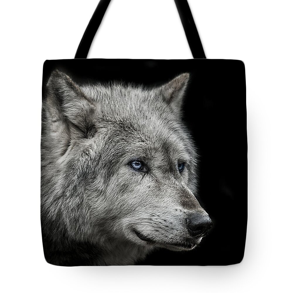 Wolf Tote Bag featuring the photograph Old blue eyes by Paul Neville