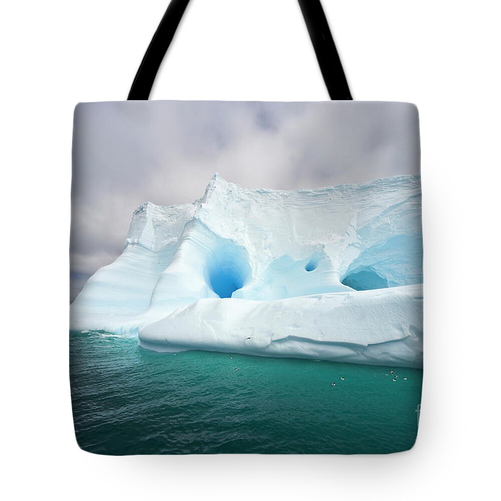 00346003 Tote Bag featuring the photograph Blue Iceberg Near South Georgia by Yva Momatiuk John Eastcott