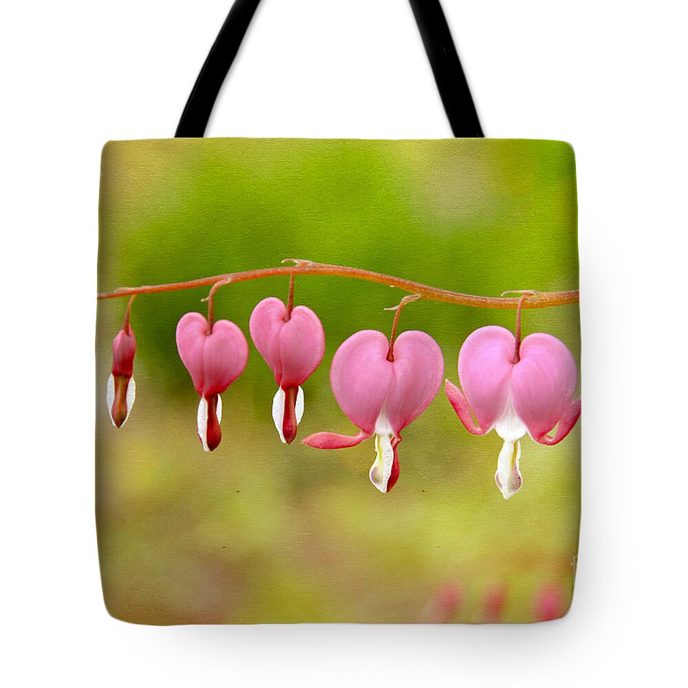 Maine Tote Bag featuring the photograph Old-Fashioned Bleeding Hearts by Karin Pinkham