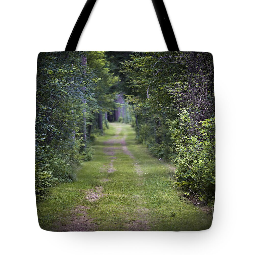 Old Tote Bag featuring the photograph Old road through forest by Elena Elisseeva