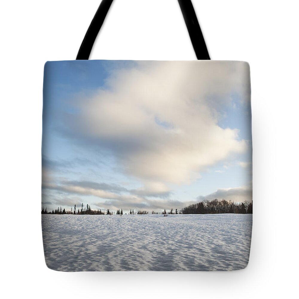 Alaska Tote Bag featuring the photograph Old Snow by Michele Cornelius