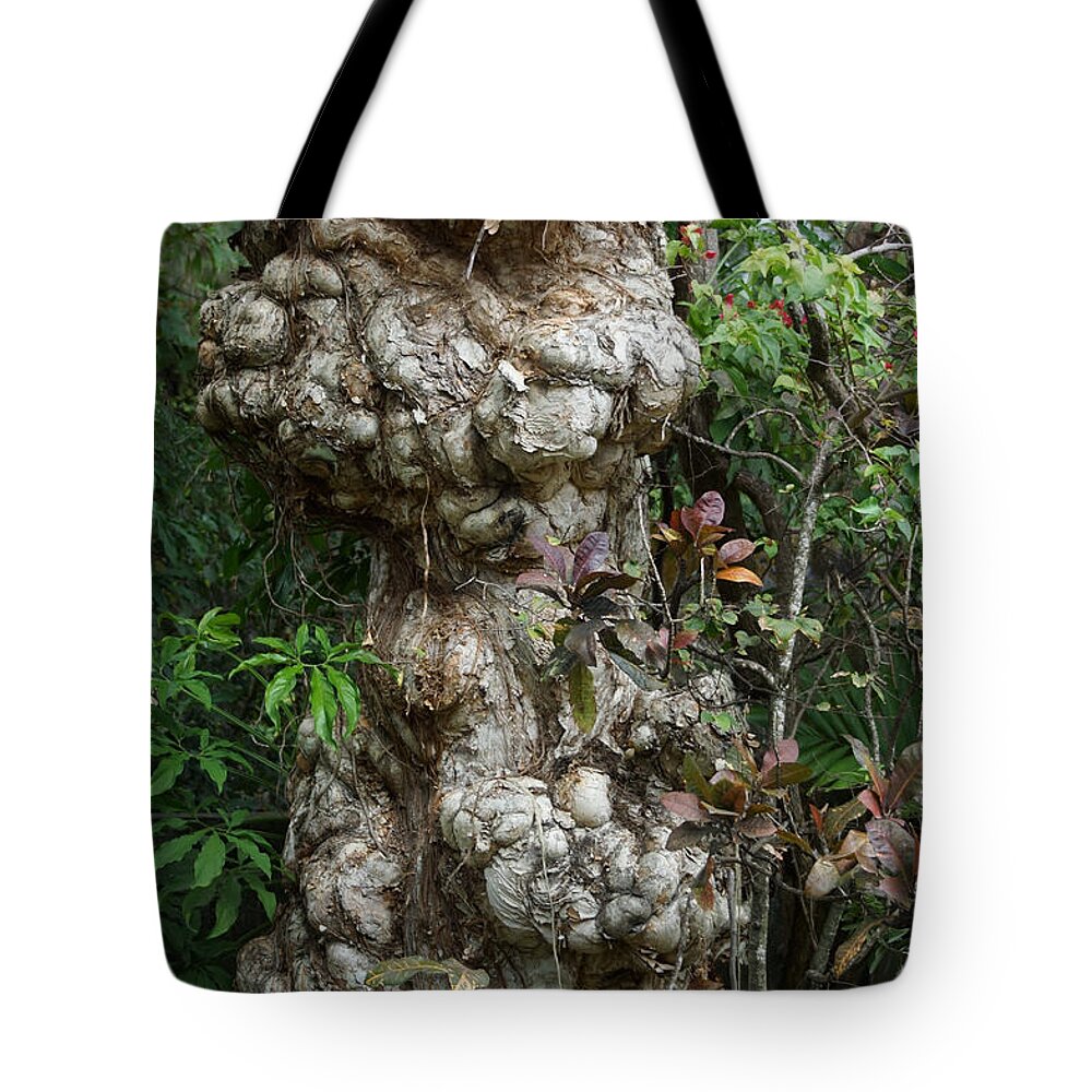 Old Tree Tote Bag featuring the photograph Old Tree by Rafael Salazar