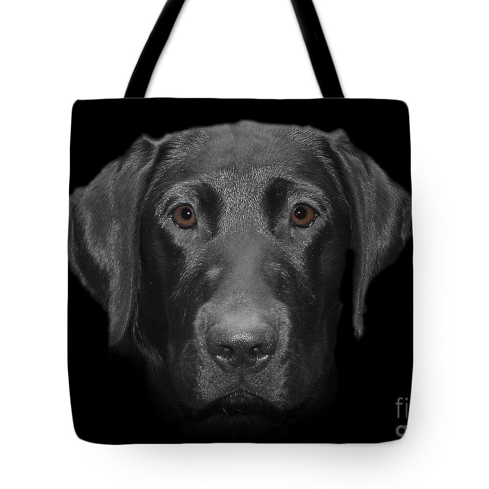Labrador Tote Bag featuring the photograph Olivia by Vix Edwards
