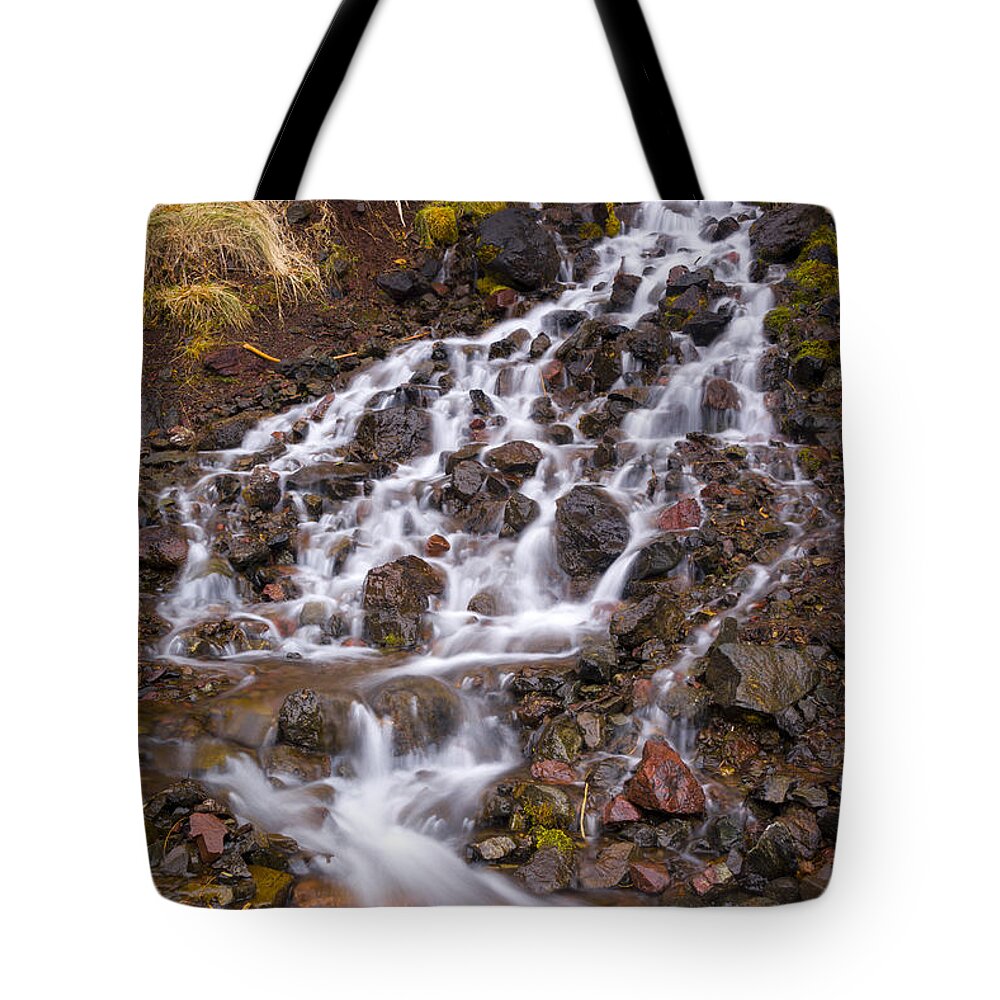Hurricane Ridge Tote Bag featuring the photograph Olympic Cascade 2 by Joe Doherty