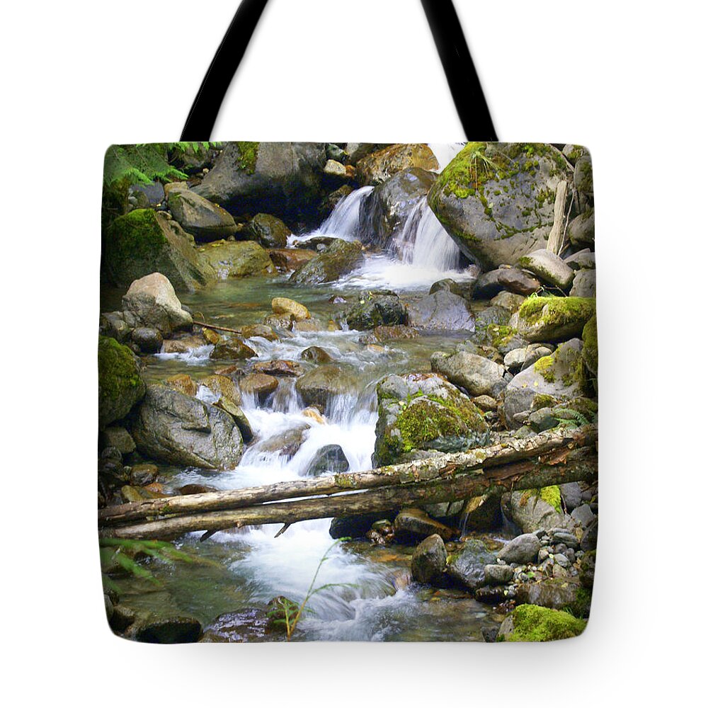 Olympic Mountains Tote Bag featuring the photograph Olympic Range Stream by Marty Koch