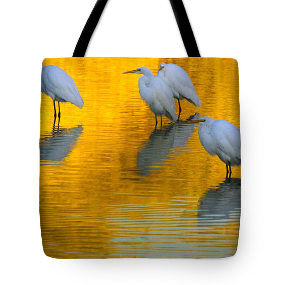 Egrets Tote Bag featuring the photograph On Golden Pond 2 by Tam Ryan