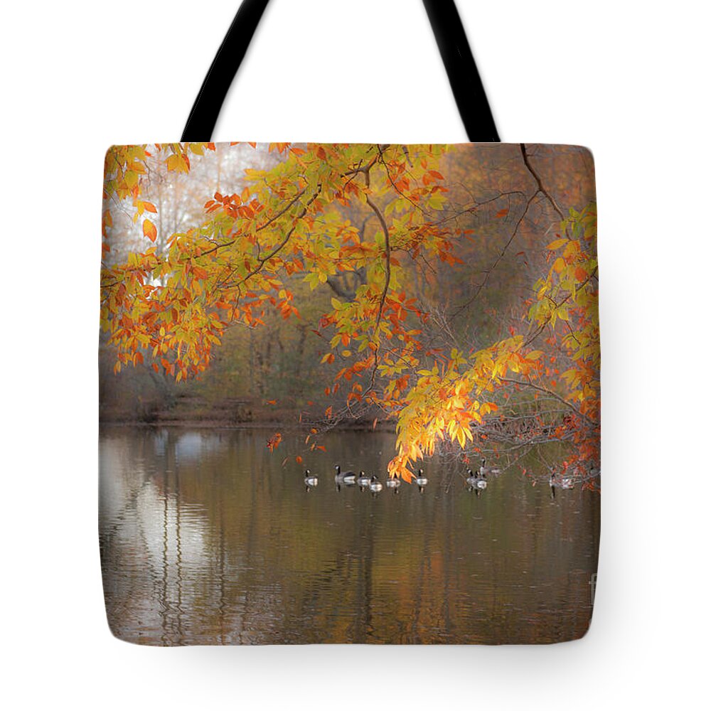 Pond Tote Bag featuring the photograph Peavefull Pond Reflections by Dale Powell