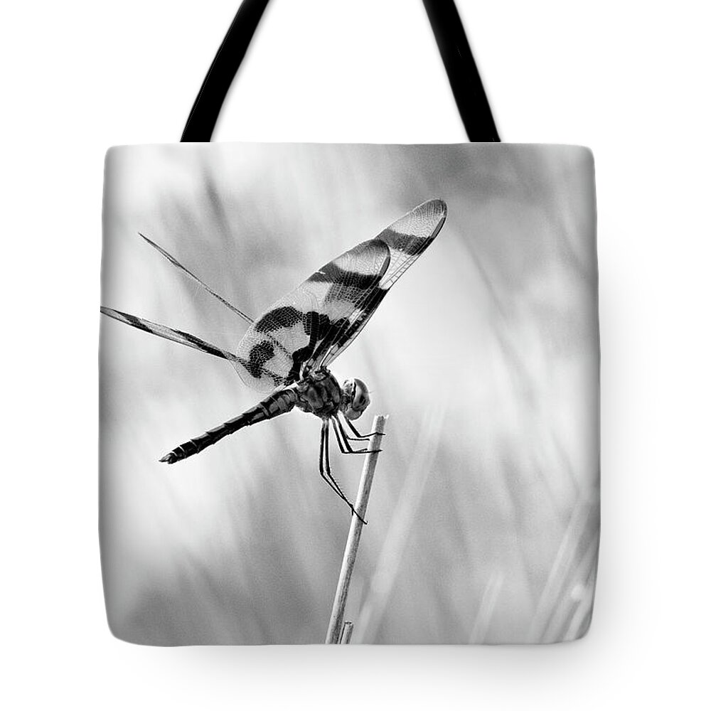 Monroe Tote Bag featuring the photograph On the Launch Pad by Scott Pellegrin