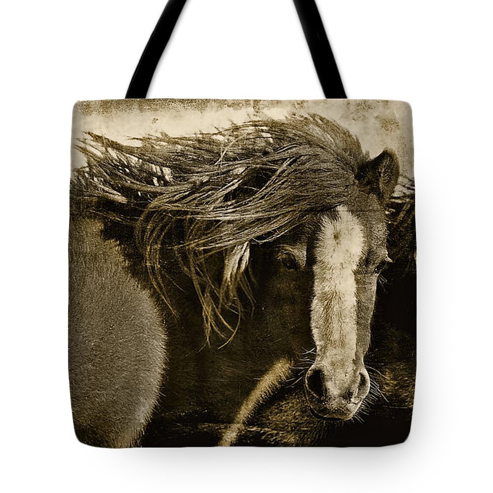 Pony Tote Bag featuring the photograph Winds of Time by Amanda Smith