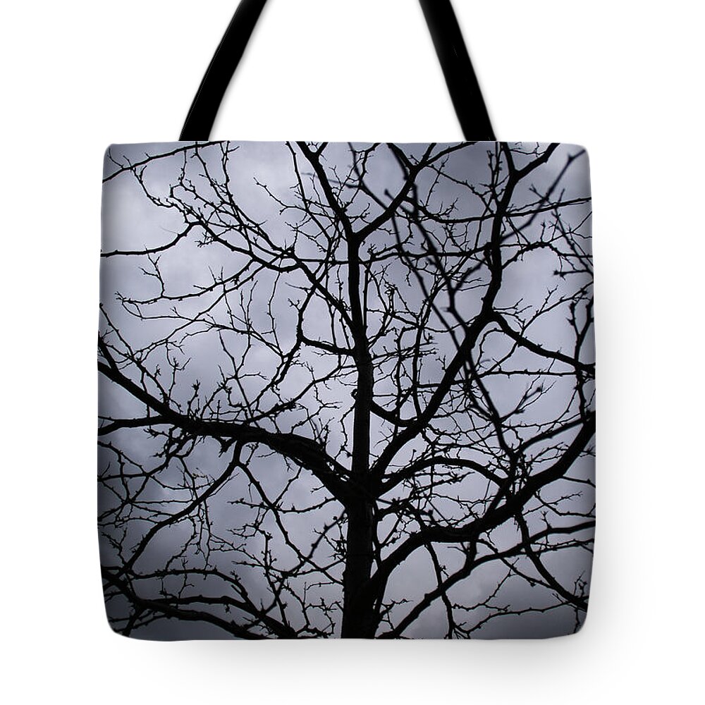 Winter Tote Bag featuring the photograph On Their Shoulders Held The Sky by Linda Shafer
