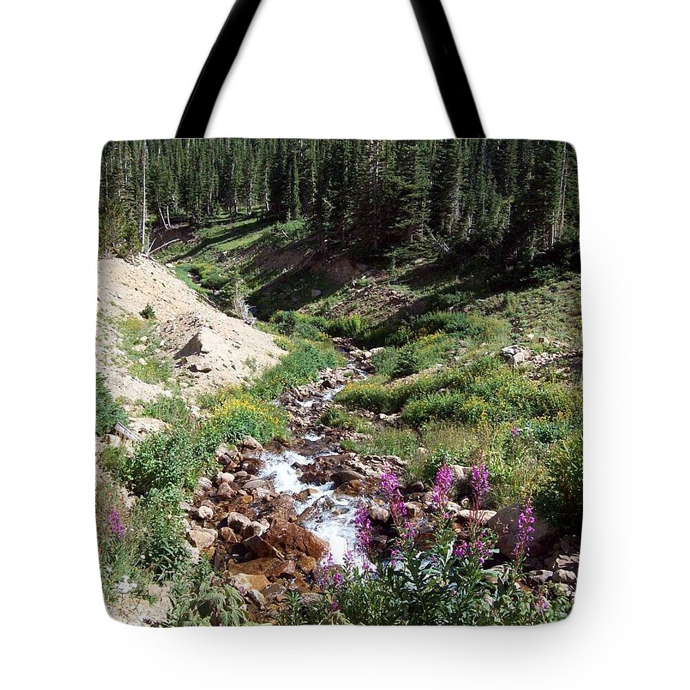 Landscape Tote Bag featuring the photograph On Top of The Continental Divide in the Rocky Mountains by Daniel Larsen
