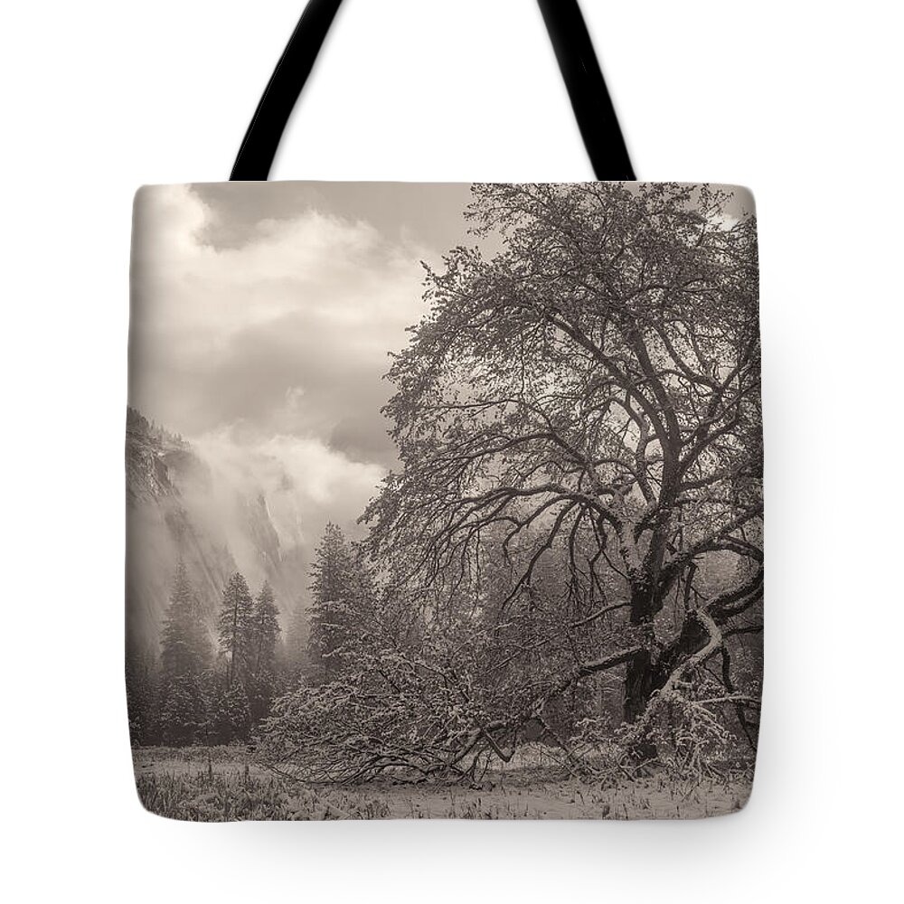 Landscape Tote Bag featuring the photograph One Beauty Sepia by Jonathan Nguyen