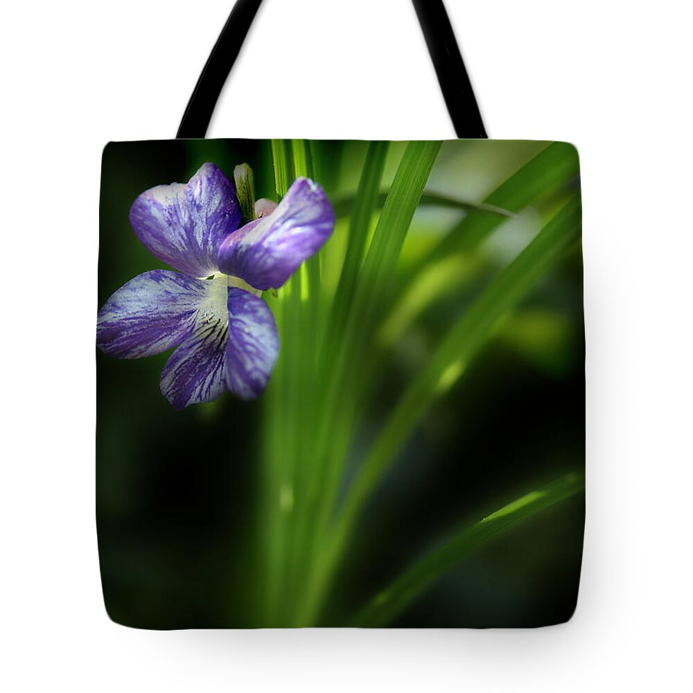 Purple Violet Tote Bag featuring the photograph One Fine Morning by Michael Eingle