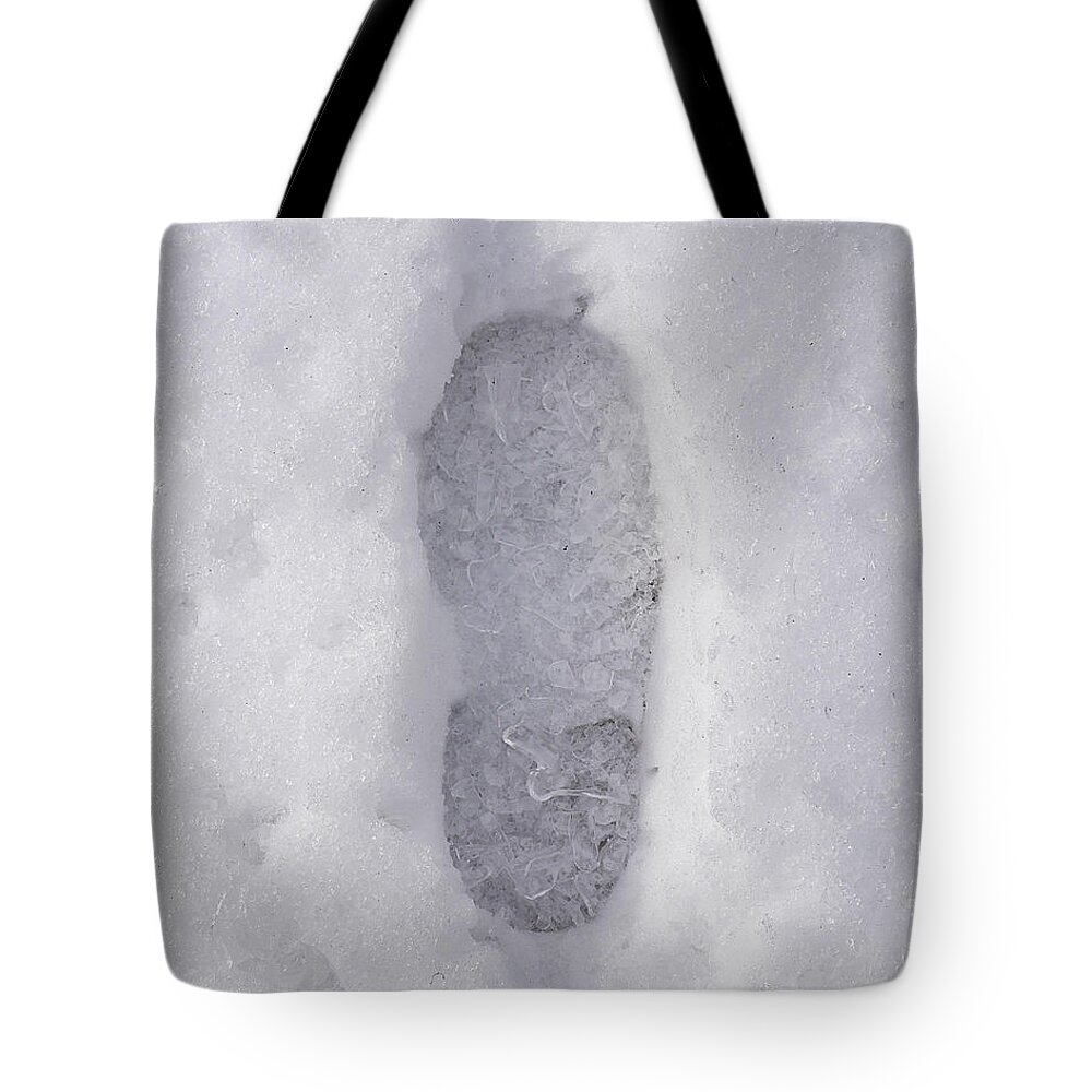 One Tote Bag featuring the photograph One Foot Deep by Richard Reeve