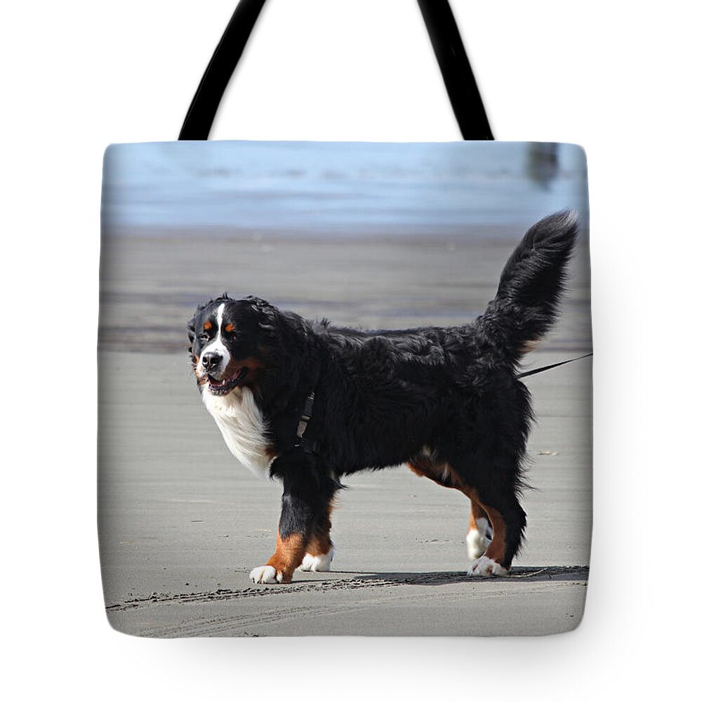 Dog Tote Bag featuring the photograph One Happy Boy by Jeanette C Landstrom