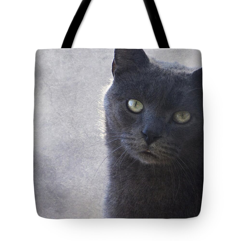 Russian Tote Bag featuring the photograph One Of Those Mysterious Blue Days by Kathy Clark