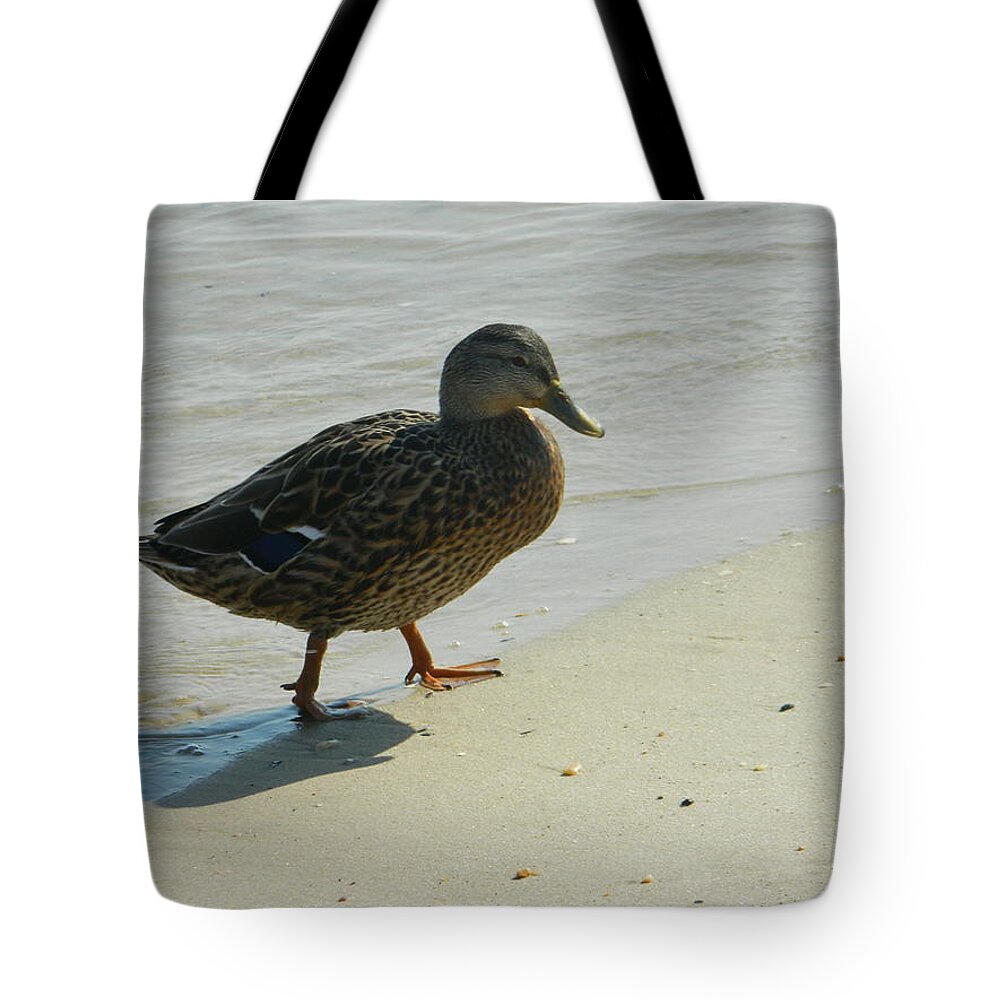 Nature Photographs Tote Bag featuring the photograph One Step In Front of the Other by Emmy Vickers