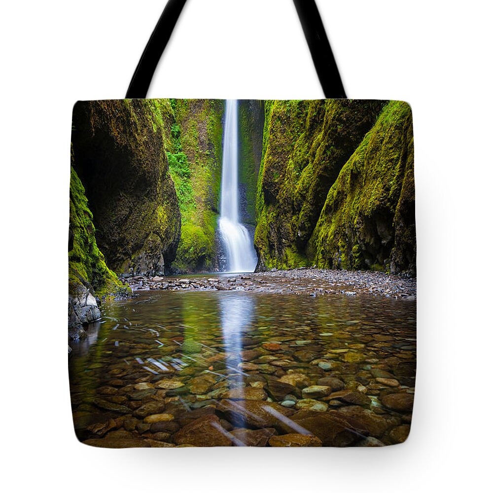 America Tote Bag featuring the photograph Oneonta Falls by Inge Johnsson