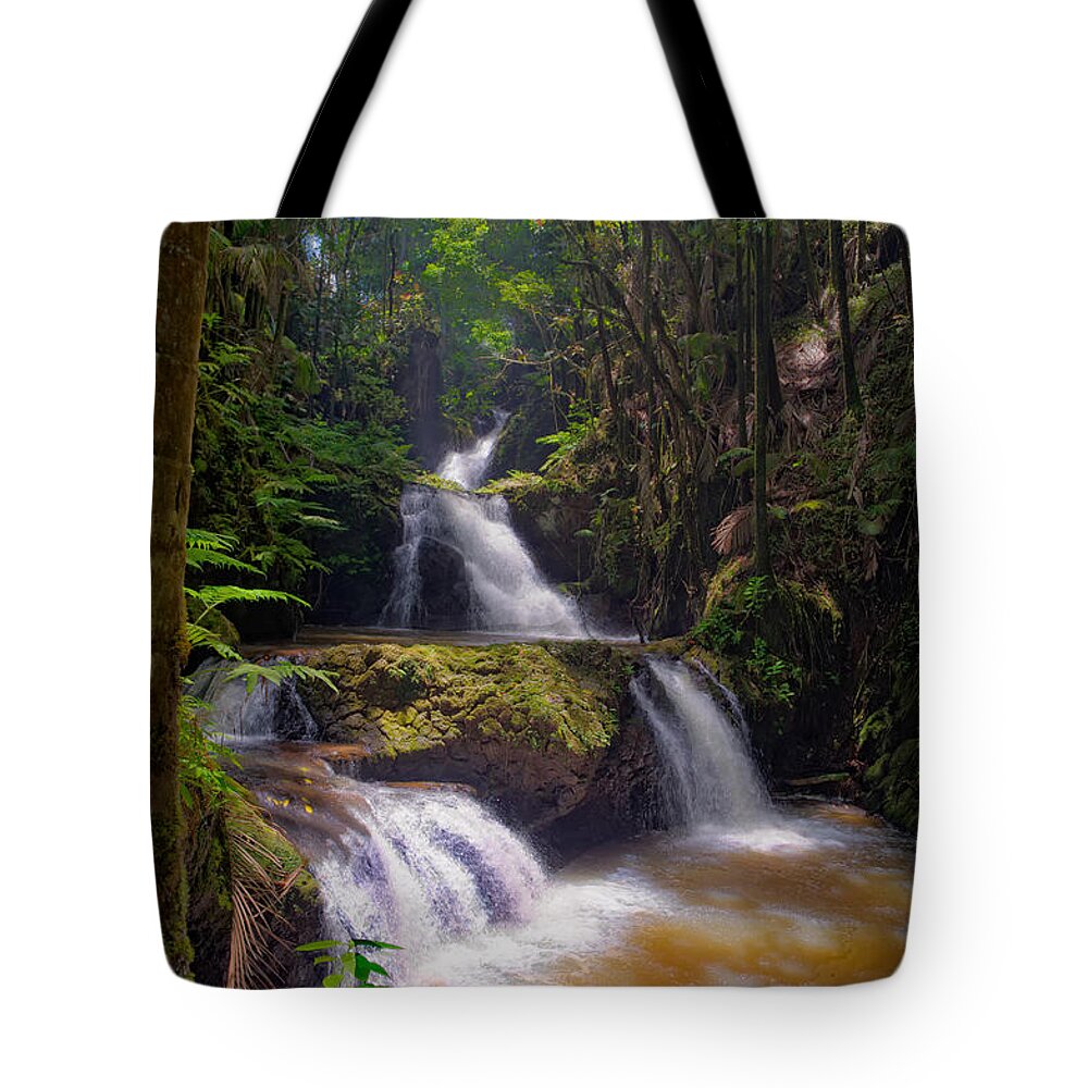 Waterfall Tote Bag featuring the photograph Onomea Falls #1 by Jim Thompson